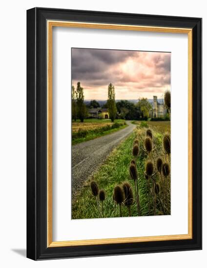 Chateau Tauzia Thistles-Colby Chester-Framed Photographic Print