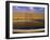 Chateau, Versailles, Unesco World Heritage Site, Ile-De-France, France, Europe-David Hughes-Framed Photographic Print