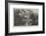 Chatsworth House, on the Derwent-null-Framed Giclee Print