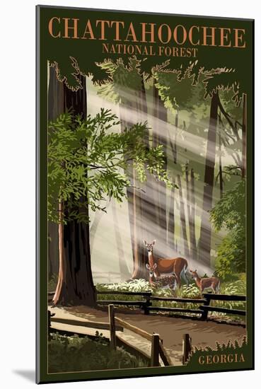 Chattahoochee National Forest, Georgia - Deer and Fawn-Lantern Press-Mounted Art Print