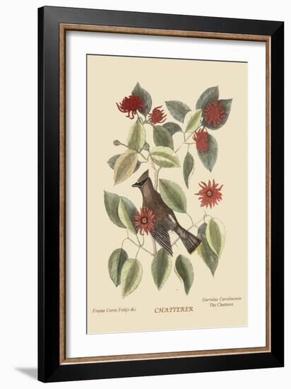 Chatterer-Mark Catesby-Framed Art Print