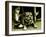 Chatteropia-Tim Kahane-Framed Photographic Print