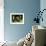 Chatteropia-Tim Kahane-Framed Photographic Print displayed on a wall