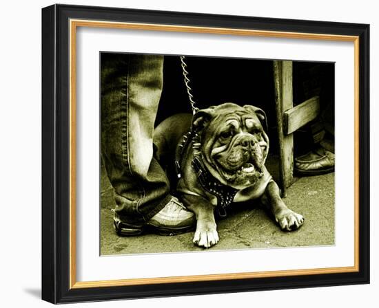 Chatteropia-Tim Kahane-Framed Photographic Print