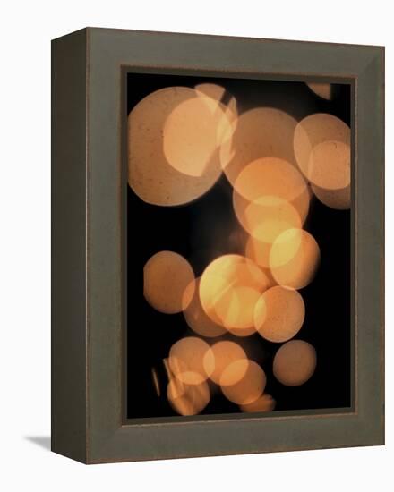 Chatterwire-Fabio Panichi-Framed Premier Image Canvas