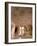 Chaumukha Temple, Ranakpur, Rajasthan, India, Asia-Ben Pipe-Framed Photographic Print