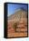 Checkerboard Mesa, Formed of Navajo Sandstone, Zion National Park, Utah, United States of America-Peter Barritt-Framed Premier Image Canvas