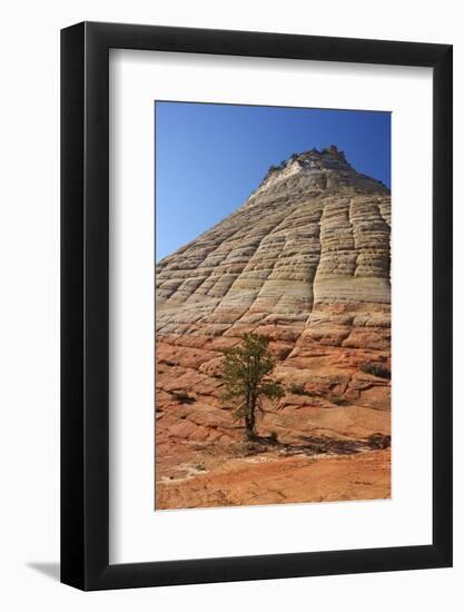 Checkerboard Mesa, Formed of Navajo Sandstone, Zion National Park, Utah, United States of America-Peter Barritt-Framed Photographic Print
