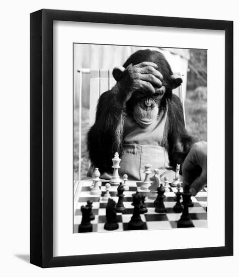 Checkmate--Framed Art Print