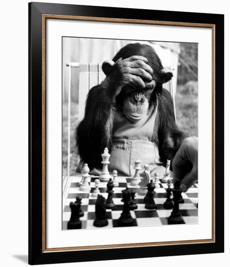 Checkmate-null-Framed Giclee Print