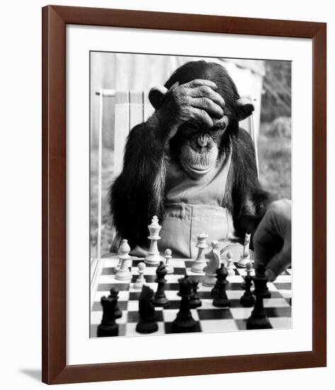 Checkmate-null-Framed Giclee Print