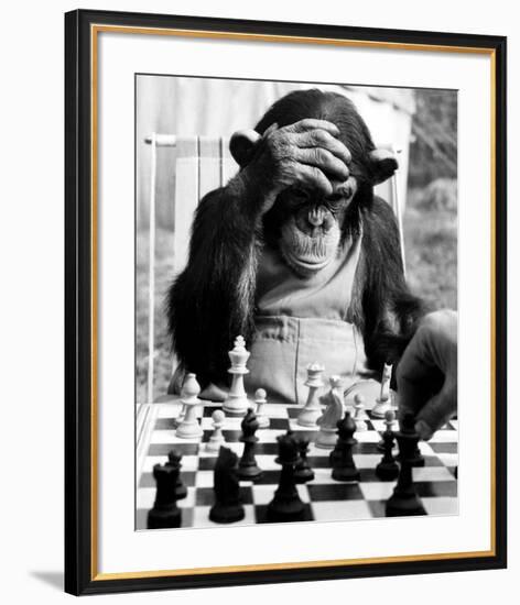 Checkmate-null-Framed Giclee Print