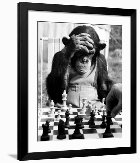 Checkmate-null-Framed Giclee Print