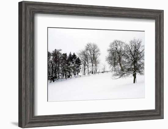 Chedworth natural reserve in winter-Angela Marsh-Framed Photographic Print