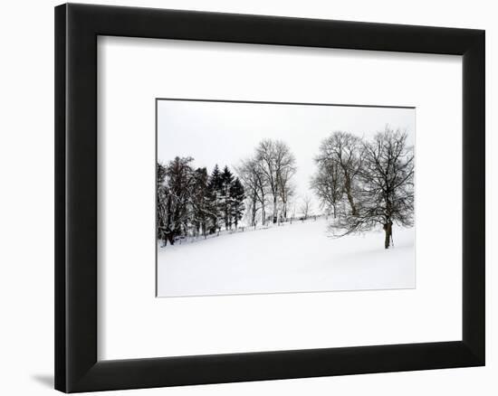 Chedworth natural reserve in winter-Angela Marsh-Framed Photographic Print