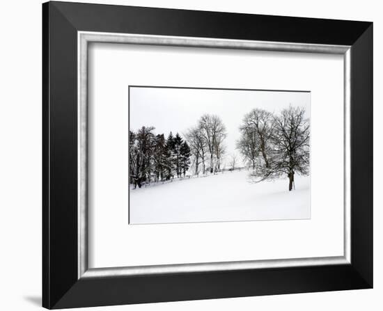 Chedworth natural reserve in winter-Angela Marsh-Framed Photographic Print