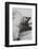 Cheeky Baby-Vincent Alexander Booth-Framed Photographic Print
