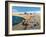 Cheeky Sea Gulls, 2005-Liz Wright-Framed Giclee Print