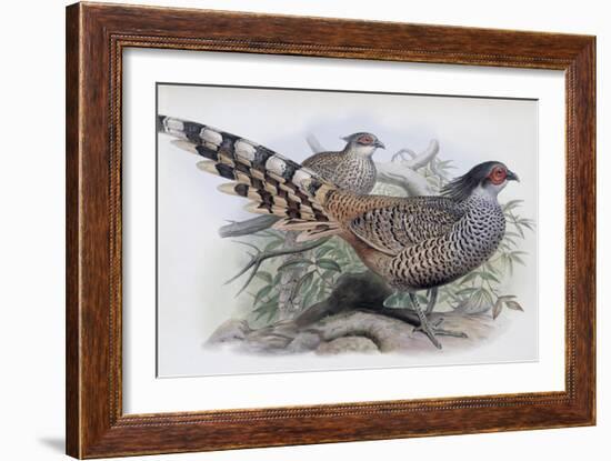 Cheer-John Gould-Framed Giclee Print