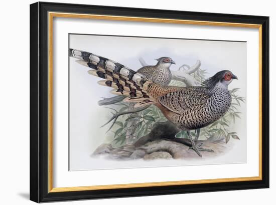 Cheer-John Gould-Framed Giclee Print