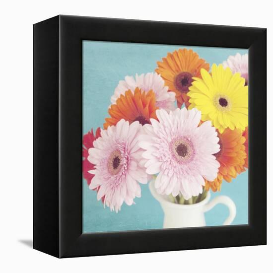 Cheerful Daisies-Susannah Tucker-Framed Stretched Canvas