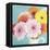 Cheerful Daisies-Susannah Tucker-Framed Stretched Canvas