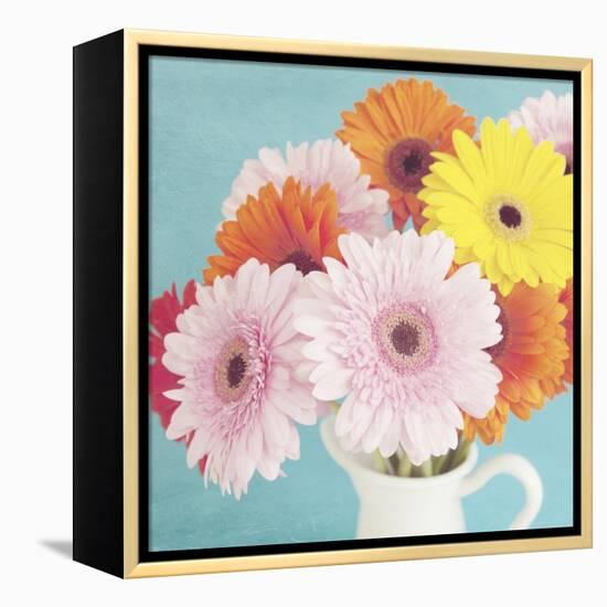 Cheerful Daisies-Susannah Tucker-Framed Stretched Canvas