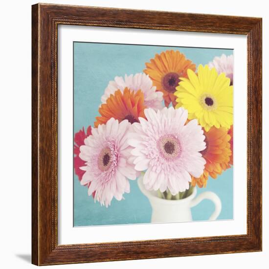 Cheerful Daisies-Susannah Tucker-Framed Art Print