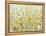 Cheerful Garden II-Tim O'toole-Framed Stretched Canvas