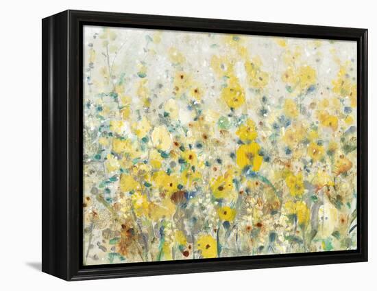 Cheerful Garden II-Tim O'toole-Framed Stretched Canvas