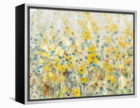 Cheerful Garden II-Tim O'toole-Framed Stretched Canvas