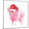 Cheerful Pig in Red Santa Hat. Watercolor for New Year 2019-zzorik-Mounted Photographic Print