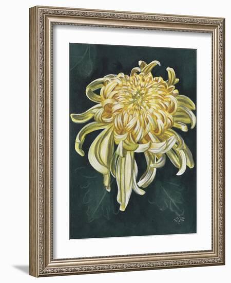 Cheerfulness-Barbara Keith-Framed Giclee Print