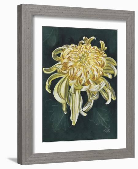 Cheerfulness-Barbara Keith-Framed Giclee Print