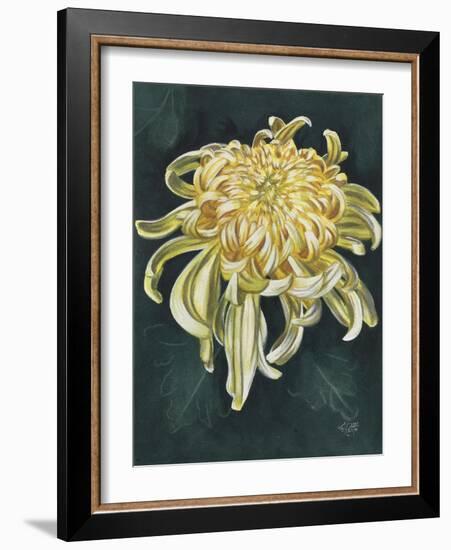 Cheerfulness-Barbara Keith-Framed Giclee Print