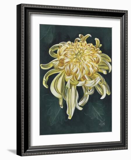 Cheerfulness-Barbara Keith-Framed Giclee Print