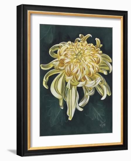 Cheerfulness-Barbara Keith-Framed Giclee Print