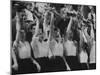 Cheerleaders at Sharon Springs Basketball Game-George Silk-Mounted Photographic Print