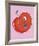 Cheery Cherry-Clara Wells-Framed Giclee Print