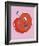 Cheery Cherry-Clara Wells-Framed Giclee Print