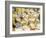 Cheese and Wine for Sale at Market, Florence, Tuscany, Italy-Rob Tilley-Framed Photographic Print
