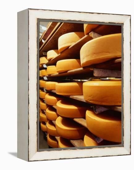 Cheese at Heidi Farm,Tasmania, Australia-John Hay-Framed Premier Image Canvas