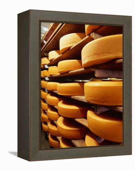 Cheese at Heidi Farm,Tasmania, Australia-John Hay-Framed Premier Image Canvas