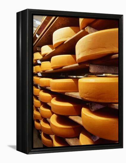 Cheese at Heidi Farm,Tasmania, Australia-John Hay-Framed Premier Image Canvas