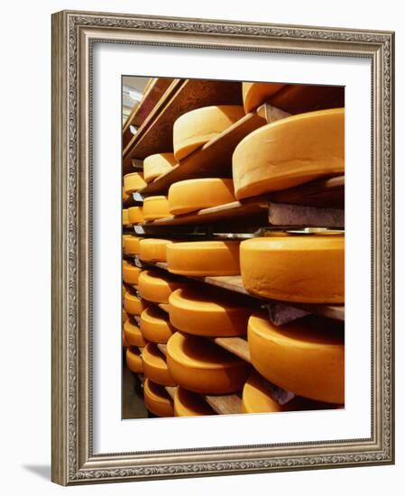 Cheese at Heidi Farm,Tasmania, Australia-John Hay-Framed Photographic Print