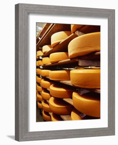 Cheese at Heidi Farm,Tasmania, Australia-John Hay-Framed Photographic Print