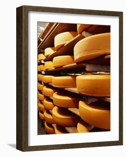 Cheese at Heidi Farm,Tasmania, Australia-John Hay-Framed Photographic Print