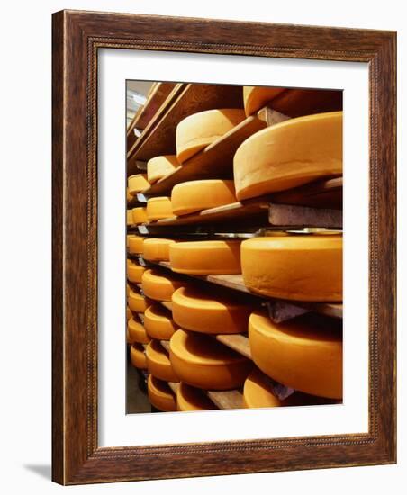 Cheese at Heidi Farm,Tasmania, Australia-John Hay-Framed Photographic Print