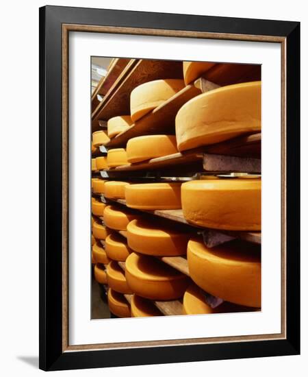 Cheese at Heidi Farm,Tasmania, Australia-John Hay-Framed Photographic Print