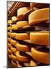 Cheese at Heidi Farm,Tasmania, Australia-John Hay-Mounted Photographic Print